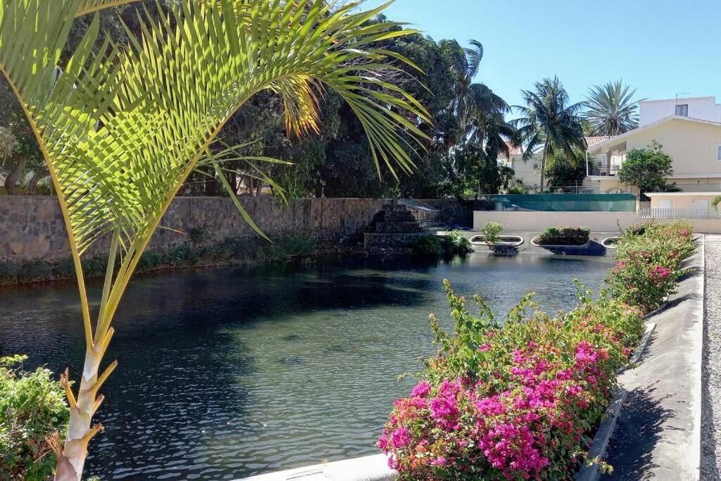 Le Dattier Holidays Flic en Flac Bagian luar foto